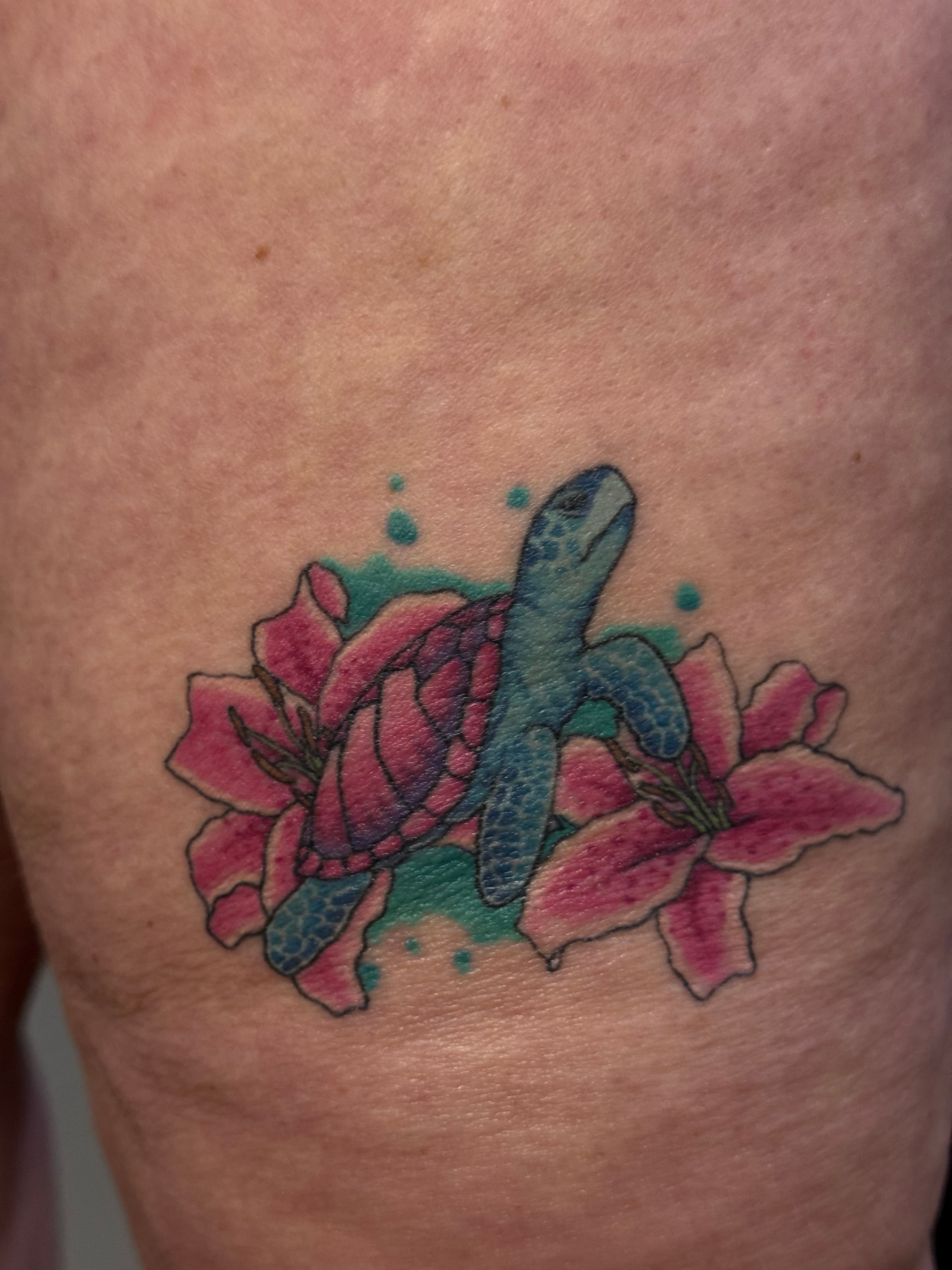 Colorful Sea Turtle